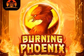 Código promocional blaze bronze hoje